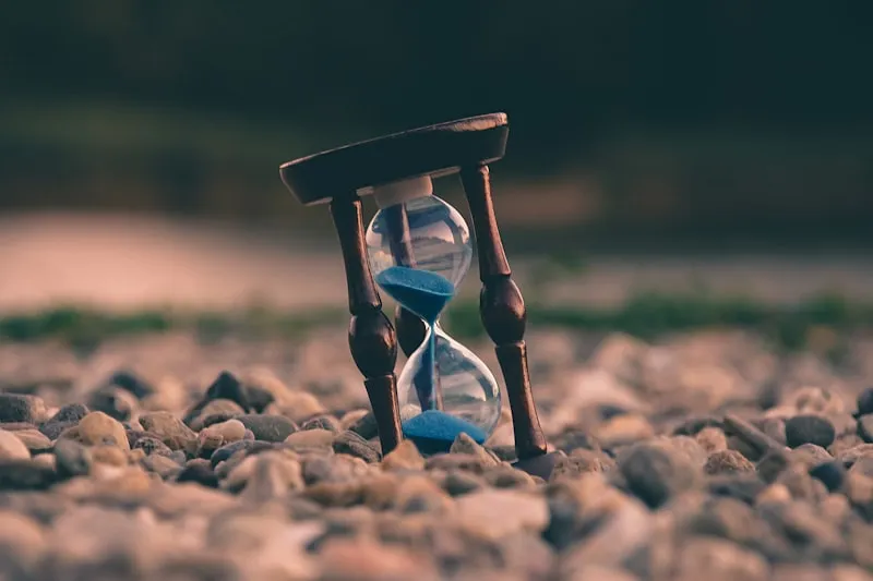 Always punctual service