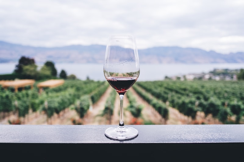 Wine Country Tours - A-1 Limo Service
