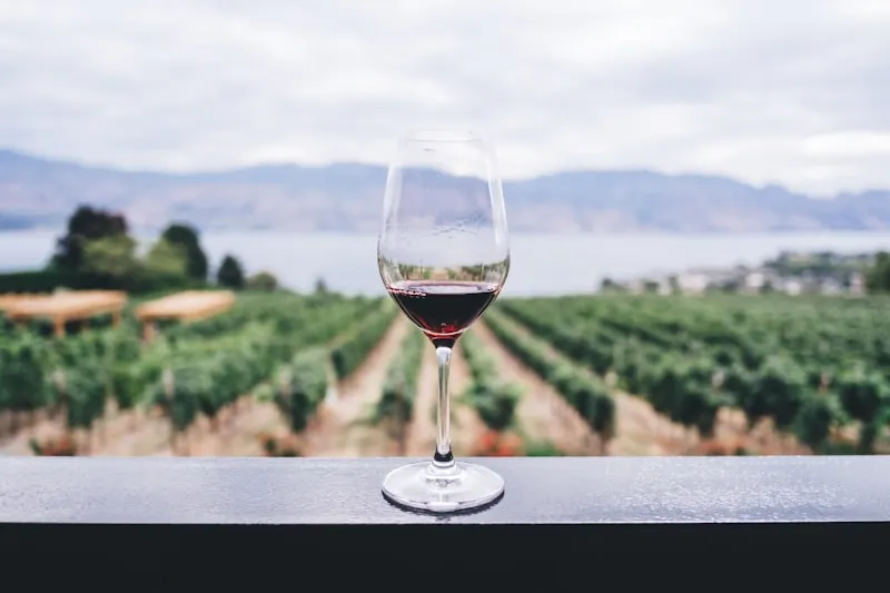 Wine Country Tours - A-1 Limo Service
